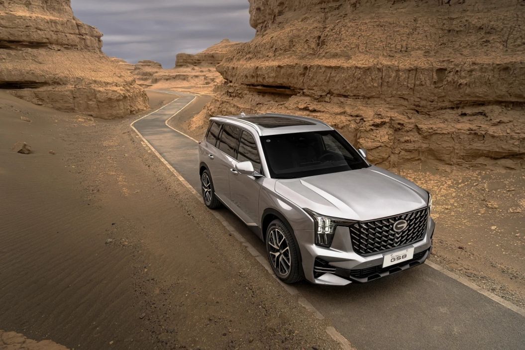 GAC GS8 Gac, GX Premium 2.0 АКПП фото 3