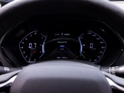 Oting Paladin Премиум / Premium 2.0 АКПП превью 18
