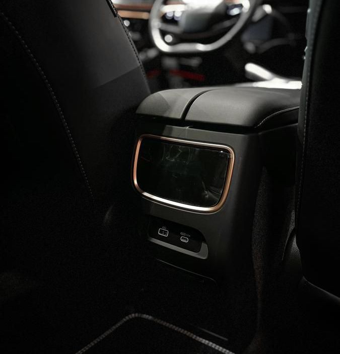 EXEED VX President 7 мест 2.0 АКПП фото 7