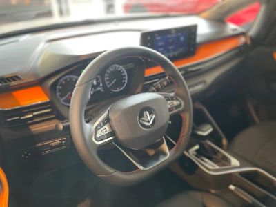 Livan X3 Pro Luxury 1.5 CVT превью 6
